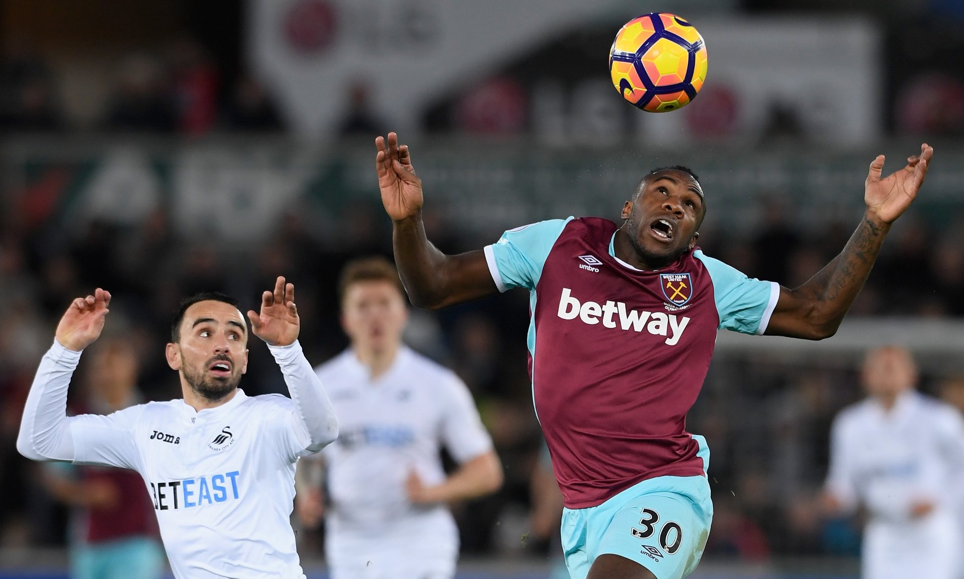 回顾游泳历 回顾游泳历